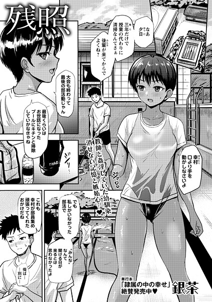 残照【単話❤銀茶】