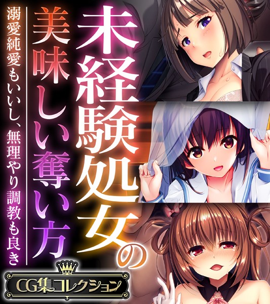 未経験処女の美味しい奪い方 〜溺愛純愛もいいし、無理やり調教も良き〜【CG集コレクション】【単行本❤大人のSEXY絵本】