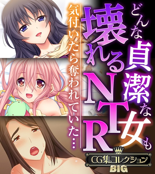 どんな貞潔な女も壊れるNTR〜気付いたら奪われていた…〜【CG集コレクションBIG】【単行本❤大人のSEXY絵本】
