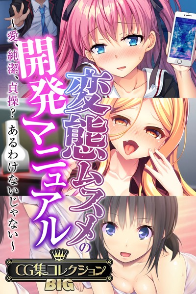 変態ムスメの開発マニュアル 〜愛、純潔、貞操？あるわけないじゃない〜【CG集コレクションBIG】【単行本❤大人のSEXY絵本】