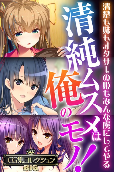 清純ムスメは俺のモノ！〜清楚も妹もオタサーの姫もみんな虜にしてやる〜【CG集コレクションBIG】【単行本❤大人のSEXY絵本】
