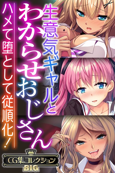 生意気ギャルとわからせおじさん 〜ハメて堕として従順化！〜【CG集コレクションBIG】【単行本❤大人のSEXY絵本】