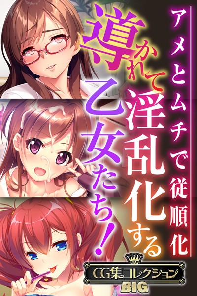 導かれて淫乱化する乙女たち！〜アメとムチで従順化〜【CG集コレクションBIG】【単行本❤大人のSEXY絵本】