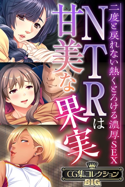 NTRは甘美な果実〜二度と戻れない熱くとろける濃厚SEX〜【CG集コレクションBIG】【単行本❤大人のSEXY絵本】
