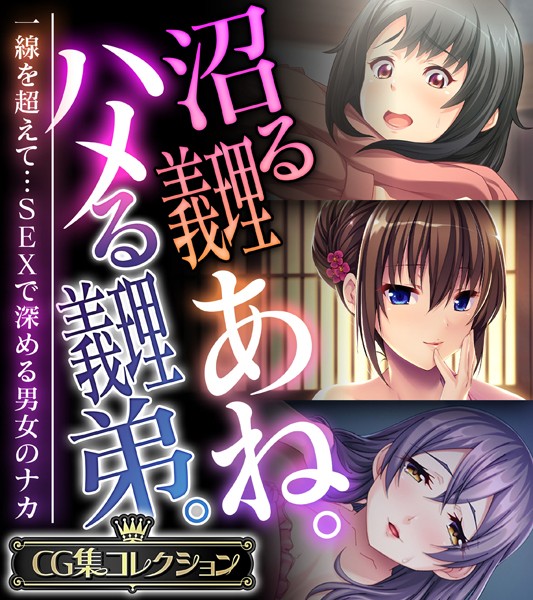 沼る義理あね。ハメる義理弟。 〜一線を超えて…SEXで深める男女のナカ〜【CG集コレクション】【単行本❤大人のSEXY絵本】