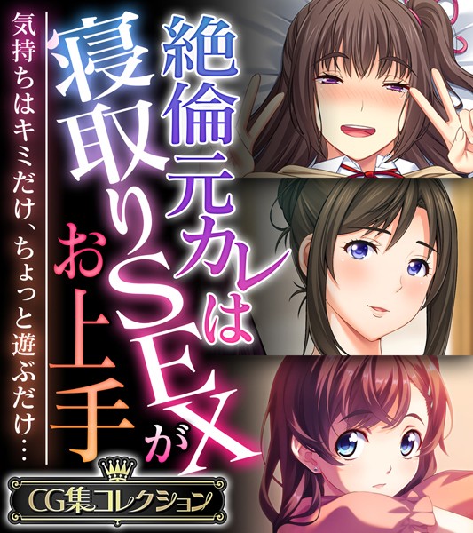 絶倫元カレは寝取りSEXがお上手 〜気持ちはキミだけ、ちょっと遊ぶだけ…〜【CG集コレクション】【単行本❤大人のSEXY絵本】