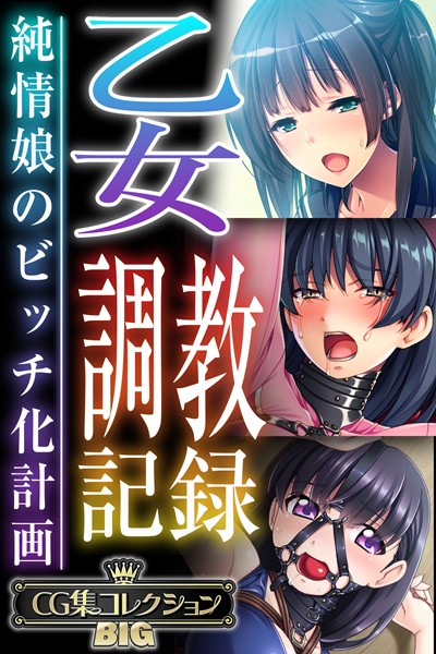 乙女調教記録〜純情娘のビッチ化計画〜【CG集コレクションBIG】【単行本❤大人のSEXY絵本】
