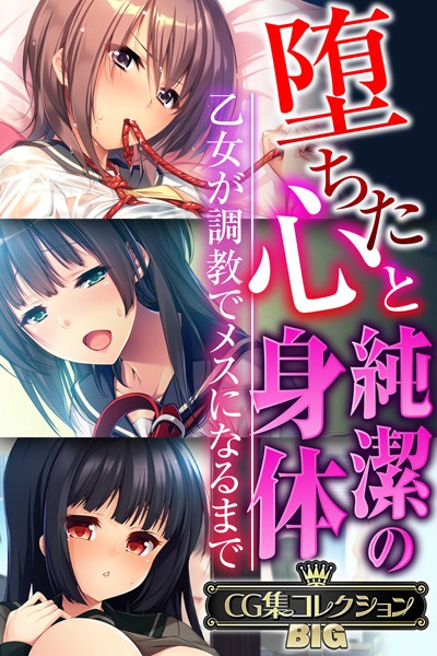 堕ちた心と純潔の身体〜乙女が調教でメスになるまで〜【CG集コレクションBIG】【単行本❤大人のSEXY絵本】