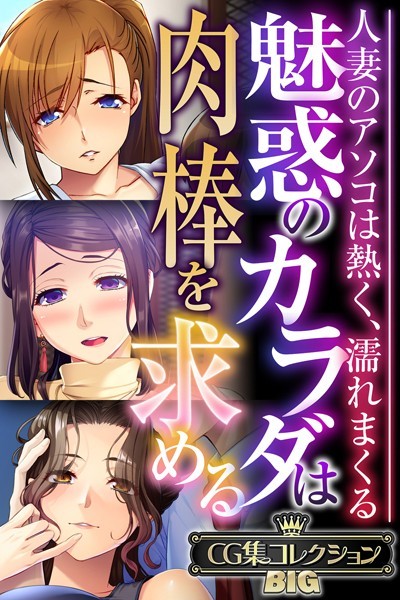 魅惑のカラダは肉棒を求める〜人妻のアソコは熱く、濡れまくる〜【CG集コレクションBIG】【単行本❤大人のSEXY絵本】