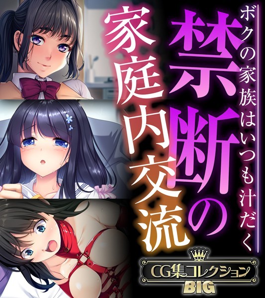 禁断の家庭内交流 〜ボクの家族はいつも汁だく〜【CG集コレクションBIG】【単行本❤大人のSEXY絵本】