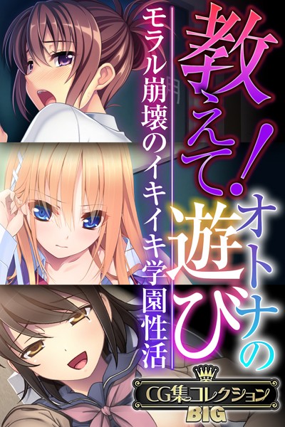 教えて！オトナの遊び 〜モラル崩壊のイキイキ学園性活〜【CG集コレクションBIG】【単行本❤大人のSEXY絵本】