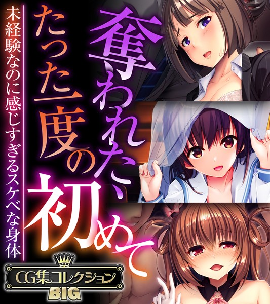 奪われた、たった一度の初めて 〜未経験なのに感じすぎるスケベな身体〜【CG集コレクションBIG】【単行本❤大人のSEXY絵本】