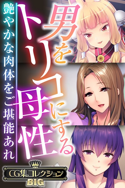 男をトリコにする母性 〜艶やかな肉体をご堪能あれ〜【CG集コレクションBIG】【単行本❤大人のSEXY絵本】