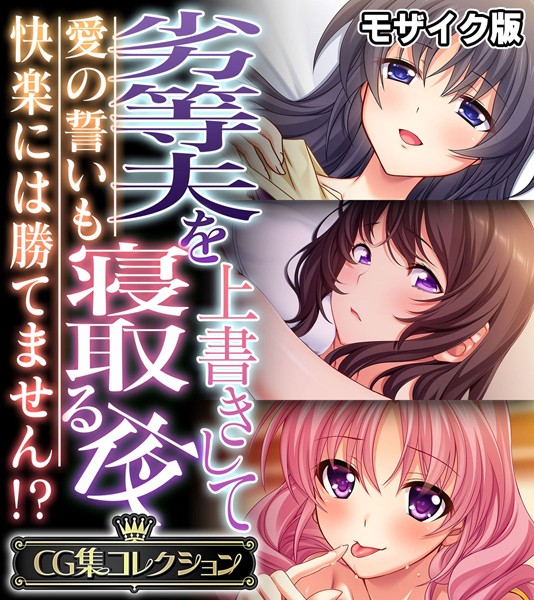 劣等夫を上書きして寝取る夜 〜愛の誓いも快楽には勝てません！？〜【CG集コレクション】 モザイク版【単行本❤大人のSEXY絵本】